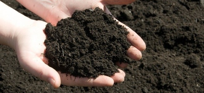 Top soil displayed in two hands